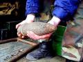Девочка принесла на урок артиллерийский снаряд