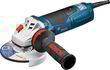 Болгарка Bosch GWS 19-125 CIE Professional з регулюванням Professional 060179P002