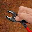Кліщі універсальні захватні Knipex TwinGrip 82 01 200. Фото-7