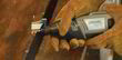 Бормашина Dremel 8200 - 5/65. Фото-2