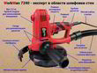Шліфмашина для стін Workman R7240. Фото-8