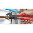 Високотехнологічні сантехнічні кліщі Cobra Knipex (87 01 300). Фото-6