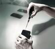 Набор отверток для электронщиков WERA TORX® BO 2067/6, 05118154001. Фото-5
