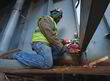 Свердлильний верстат Milwaukee M18 FMDP-0C (4933451636). Фото-6