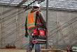 Сумка для инструмента Milwaukee Packout (4932493623). Фото-5